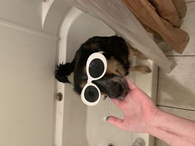 Jaylene profile photo