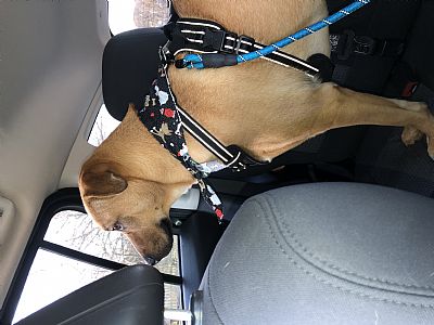 Laureennn7 profile photo