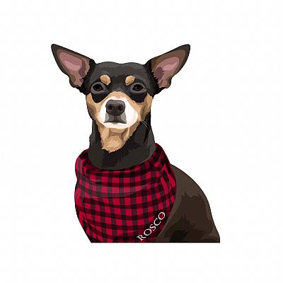 Mgarner5531 profile photo