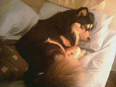 Nathan144 profile photo