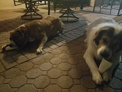 Jbennett90 profile photo