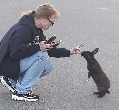 dtrickle64 profile photo