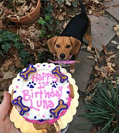 jackiegirl1294 profile photo