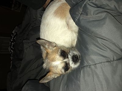 alexisjones profile photo