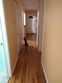 sandywithay profile photo