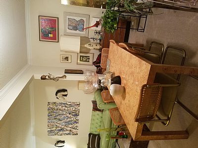 Nonodynamo profile photo