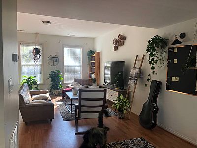 renams profile photo