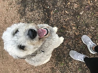 caitlinmitchell profile photo