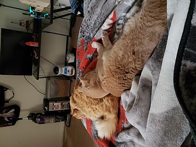 Juelz3000 profile photo