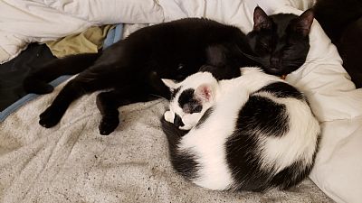 Ecnomoda profile photo