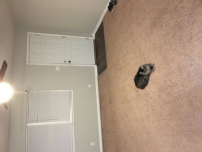 kynuke profile photo