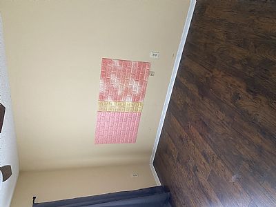 CJ  Liang profile photo