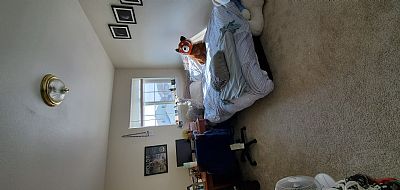 catherinehoward profile photo