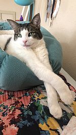 Dosterm profile photo