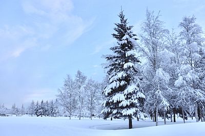 Sanrifromjapan profile photo