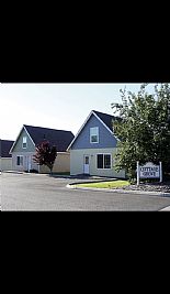 shantyleb7 profile photo