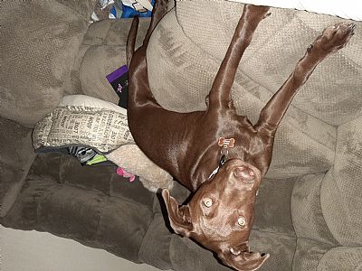 sammy.v3 profile photo