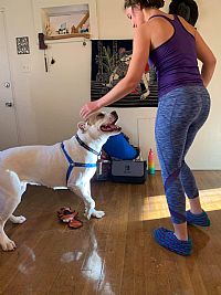 RenayF profile photo