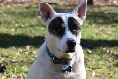 hcb0903 profile photo