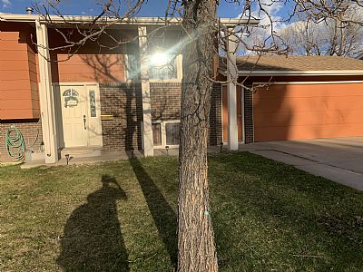 nikita_ashley profile photo