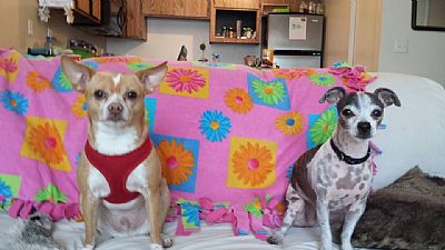 Underhill8689 profile photo