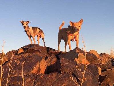 Underhill8689 profile photo