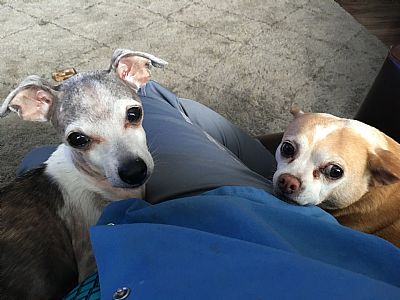 Underhill8689 profile photo