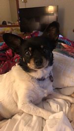 asclingan1 profile photo