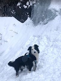 mkkeller profile photo