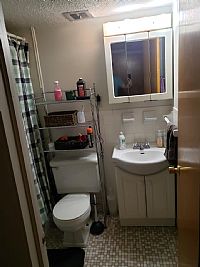 joshb456 profile photo