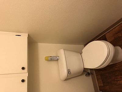 Alondracruz profile photo