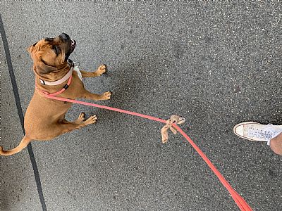 Pkoons18 profile photo