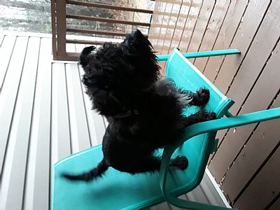 Shananana88 profile photo