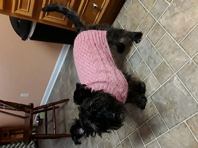 Shananana88 profile photo