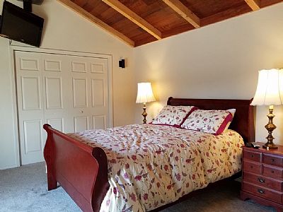 alam3383 profile photo