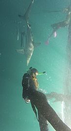 melanievenet profile photo