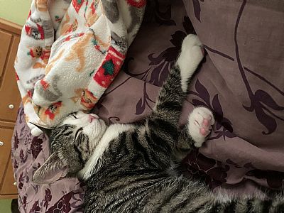 melraespinn profile photo