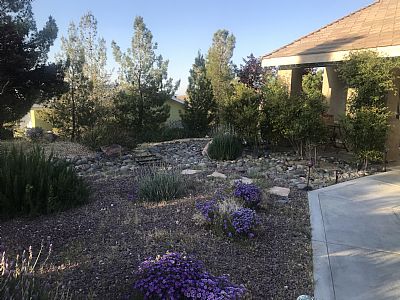 Canada8078 profile photo