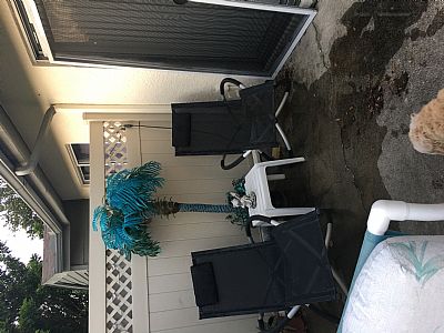 Froggercn profile photo