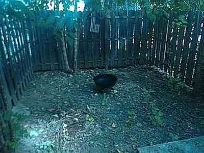 toncuz profile photo