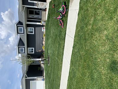 Jgross profile photo