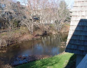 azavacky profile photo