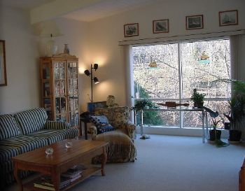 azavacky profile photo