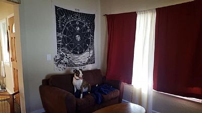 Hannahsh profile photo