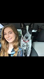 dannibrandeelov profile photo