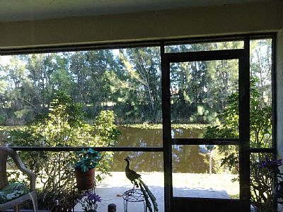 denisemermaid profile photo