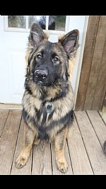 Brandonbrown923 profile photo