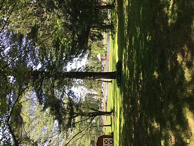 Kneadles profile photo