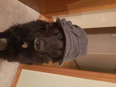 Ashleigh.O profile photo