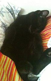 Ashleigh.O profile photo